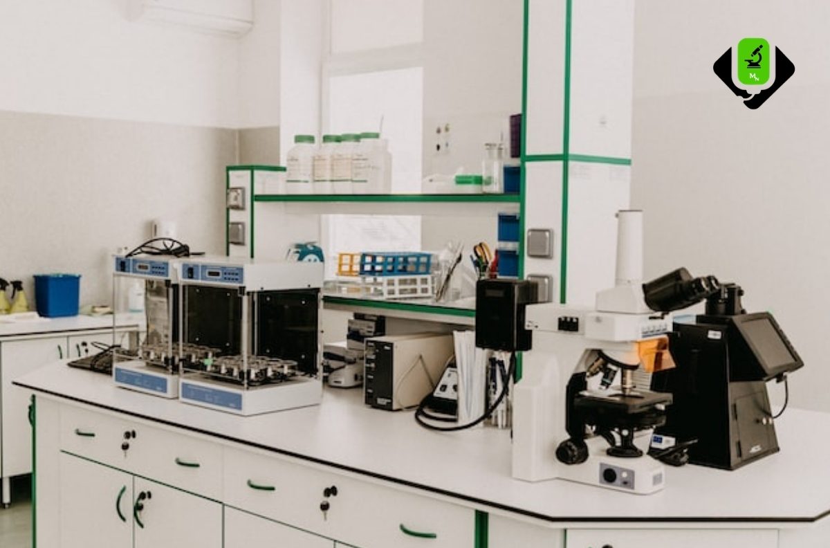 Comprehensive Diagnostic Check-Up
